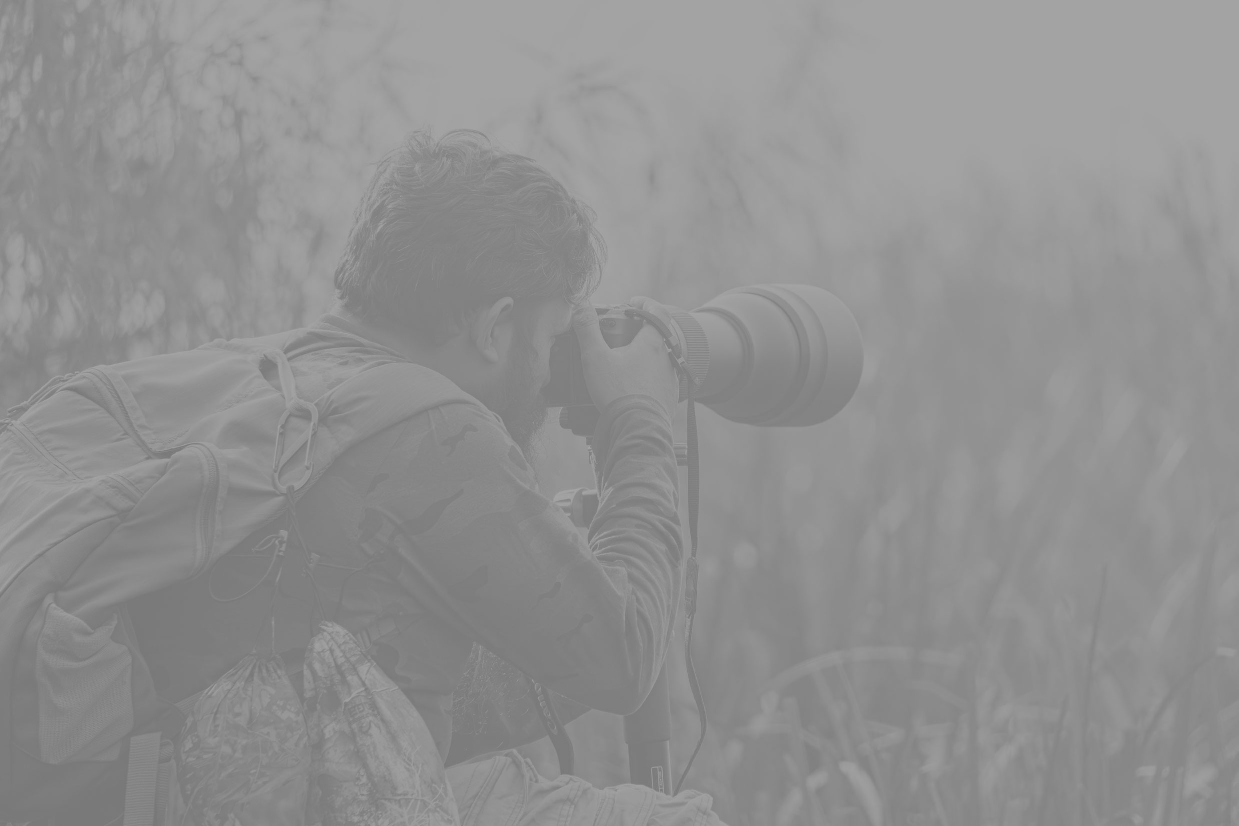 Vision in Motion. Stories That Travel.