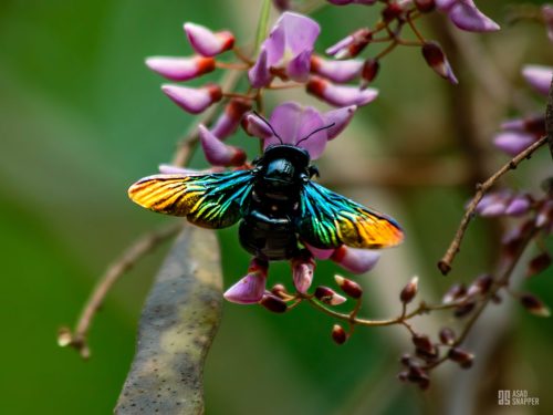 IMG 5749-Enhanced-NR