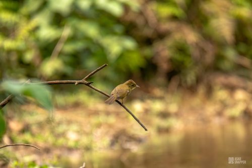 IMG_4968-Enhanced-NR