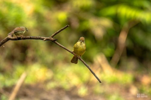 IMG_5208-Enhanced-NR