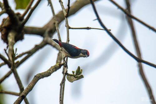 IMG_5406-Enhanced-NR